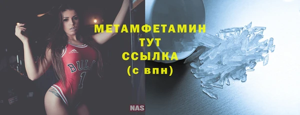 индика Осинники